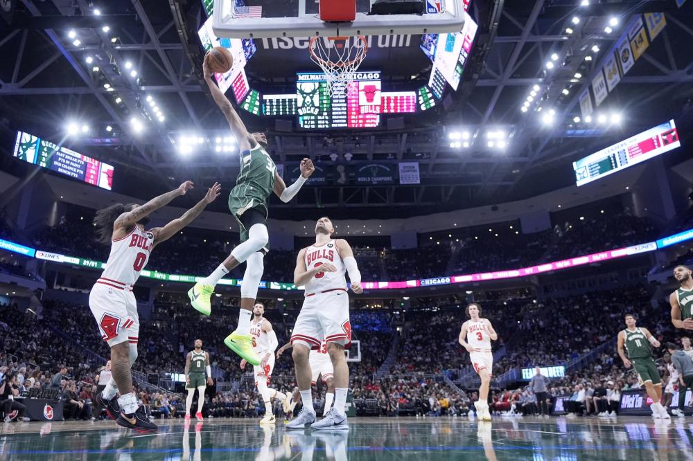 上都独树一 上都独树一